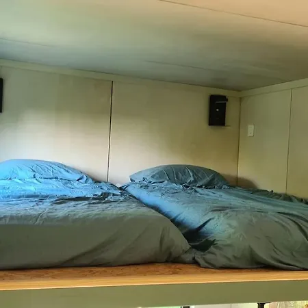 Le Petit Nid Des Mesanges *