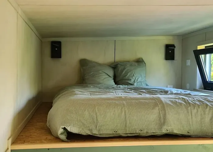 Le Petit Nid Des Mesanges * Volckerinckhove