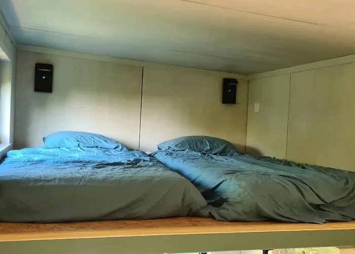 Le Petit Nid Des Mesanges *